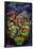 Teenage Mutant Ninja Turtles: Mutant Mayhem -  Group-Trends International-Framed Poster