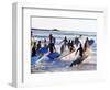 Teenage Surfers Running with Their Boards Towards the Water at a Life Saving Competition-Yadid Levy-Framed Photographic Print