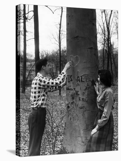 Teenagers Carving Initials on a Tree-Philip Gendreau-Stretched Canvas