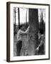 Teenagers Carving Initials on a Tree-Philip Gendreau-Framed Photographic Print