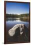 Teepee Lake, Uinta Mountains, Utah-Louis Arevalo-Framed Photographic Print