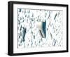 Teeth-David Mack-Framed Premium Photographic Print