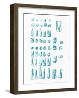 Teeth-Mehau Kulyk-Framed Photographic Print