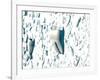 Teeth-David Mack-Framed Photographic Print