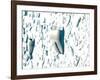 Teeth-David Mack-Framed Photographic Print