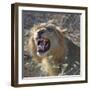 Teeth-Scott Bennion-Framed Photo