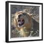 Teeth-Scott Bennion-Framed Photo