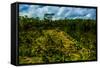 Tegalalang Terraced Rice Paddy, Bali, Indonesia, Southeast Asia, Asia-Laura Grier-Framed Stretched Canvas