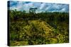 Tegalalang Terraced Rice Paddy, Bali, Indonesia, Southeast Asia, Asia-Laura Grier-Stretched Canvas