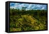 Tegalalang Terraced Rice Paddy, Bali, Indonesia, Southeast Asia, Asia-Laura Grier-Framed Stretched Canvas