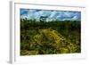 Tegalalang Terraced Rice Paddy, Bali, Indonesia, Southeast Asia, Asia-Laura Grier-Framed Photographic Print