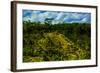 Tegalalang Terraced Rice Paddy, Bali, Indonesia, Southeast Asia, Asia-Laura Grier-Framed Photographic Print