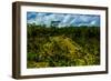 Tegalalang Terraced Rice Paddy, Bali, Indonesia, Southeast Asia, Asia-Laura Grier-Framed Photographic Print