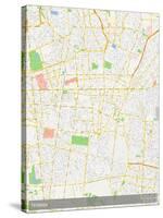 Tehran, Iran, Islamic Republic of Map-null-Stretched Canvas