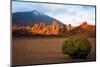 Teide National Park, UNESCO World Heritage Site, Tenerife, Canary Islands, Spain, Europe-Karen Deakin-Mounted Photographic Print