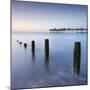 Teignmouth Pier and Coastal Defences at Teignmouth, South Devon, England. Summer-Adam Burton-Mounted Photographic Print