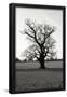 Essential Black