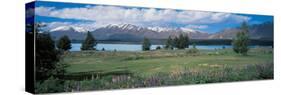 Tekapo Lake South Island New Zealand-null-Stretched Canvas