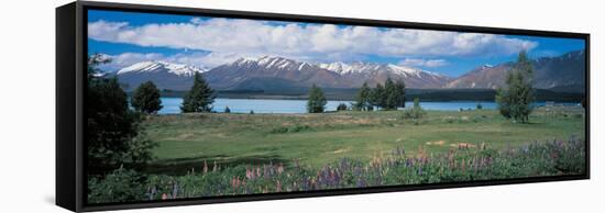 Tekapo Lake South Island New Zealand-null-Framed Stretched Canvas