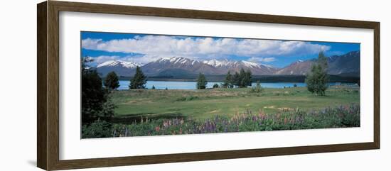 Tekapo Lake South Island New Zealand-null-Framed Photographic Print