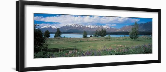 Tekapo Lake South Island New Zealand-null-Framed Photographic Print