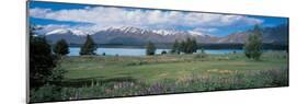 Tekapo Lake South Island New Zealand-null-Mounted Photographic Print