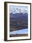 Tekapo, South Island, New Zealand-Paul Dymond-Framed Photographic Print