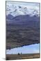 Tekapo, South Island, New Zealand-Paul Dymond-Mounted Photographic Print