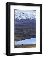 Tekapo, South Island, New Zealand-Paul Dymond-Framed Photographic Print