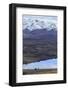 Tekapo, South Island, New Zealand-Paul Dymond-Framed Photographic Print