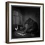 Teklinks-Lynne Davies-Framed Photographic Print