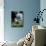 Tekspot-Tim Kahane-Mounted Photographic Print displayed on a wall