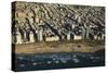 Tel Aviv from Above.-Stefano Amantini-Stretched Canvas