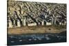 Tel Aviv from Above.-Stefano Amantini-Stretched Canvas