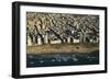 Tel Aviv from Above.-Stefano Amantini-Framed Photographic Print