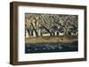 Tel Aviv from Above.-Stefano Amantini-Framed Photographic Print