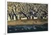 Tel Aviv from Above.-Stefano Amantini-Framed Photographic Print