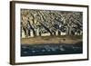 Tel Aviv from Above.-Stefano Amantini-Framed Photographic Print