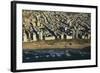 Tel Aviv from Above.-Stefano Amantini-Framed Photographic Print