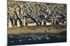Tel Aviv from Above.-Stefano Amantini-Mounted Photographic Print