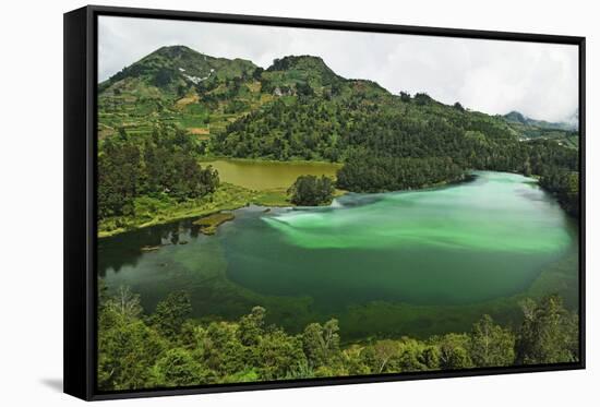 Telaga Warna (Colorful Lake), Dieng Plateau, Java, Indonesia, Southeast Asia, Asia-Jochen Schlenker-Framed Stretched Canvas