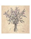 Lilac Season II-Todd Telander-Art Print