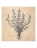 Lilac Season II-Todd Telander-Art Print