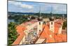 Telc, View on Old Town (A Unesco World Heritage Site), Czech Republic-Zechal-Mounted Photographic Print