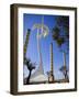 Telecommunications Tower by Architect Santiago Calatrava, Montjuic, Barcelona; Catalonia, Spain-Carlos Sanchez Pereyra-Framed Photographic Print