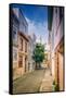 Telegraph Hill, San Francisco Street Scene, North Beach-null-Framed Stretched Canvas