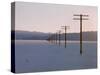 Telegraph Poles Along Bonneville Salt Flats at Sunset-Fritz Goro-Stretched Canvas