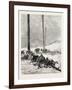 Telegraph Wires in the Desert. Egypt, 1879-null-Framed Giclee Print