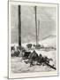 Telegraph Wires in the Desert. Egypt, 1879-null-Mounted Giclee Print