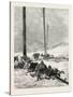 Telegraph Wires in the Desert. Egypt, 1879-null-Stretched Canvas